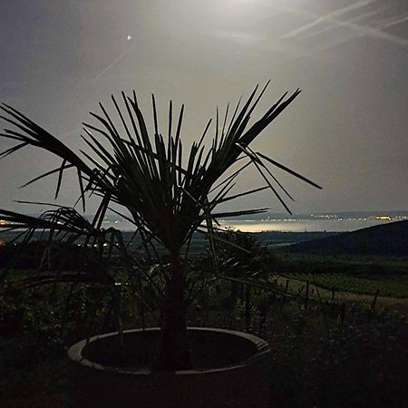 Panorama, Balaton Villa Dorgicse Bagian luar foto