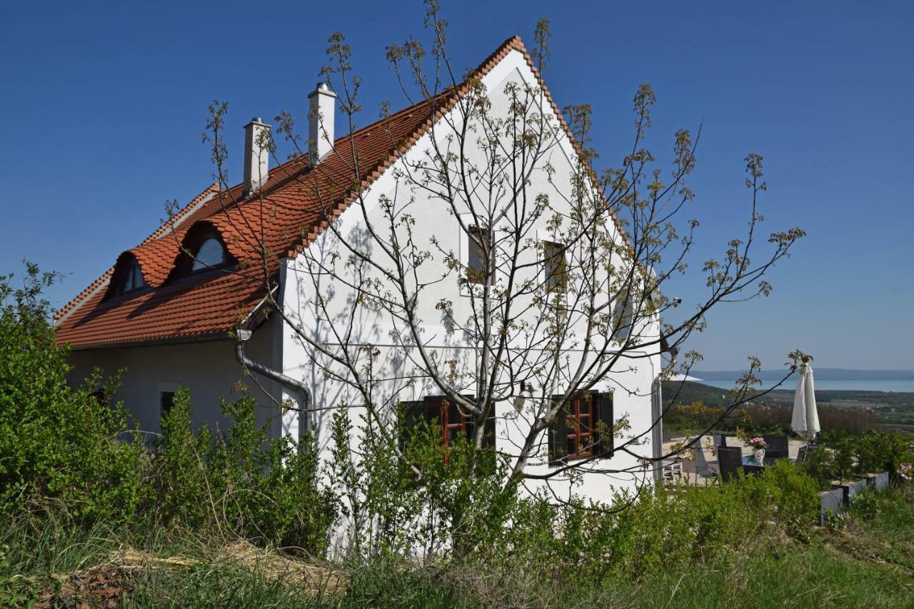 Panorama, Balaton Villa Dorgicse Bagian luar foto